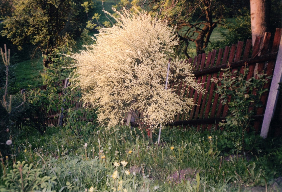 http://www.annamariafriedrich.de/files/gimgs/th-33_Feelingkl.jpg