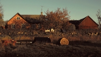 http://www.annamariafriedrich.de/files/gimgs/th-13_hausklein.jpg