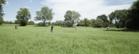 http://www.annamariafriedrich.de/files/gimgs/th-19_cropped-mg_0635.jpg