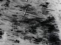 http://www.annamariafriedrich.de/files/gimgs/th-32_Sieben_Meter_Angst_10kl.jpg