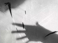 http://www.annamariafriedrich.de/files/gimgs/th-32_Sieben_Meter_Angst_5kl.jpg
