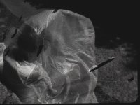 http://www.annamariafriedrich.de/files/gimgs/th-32_Sieben_Meter_Angst_8kl.jpg